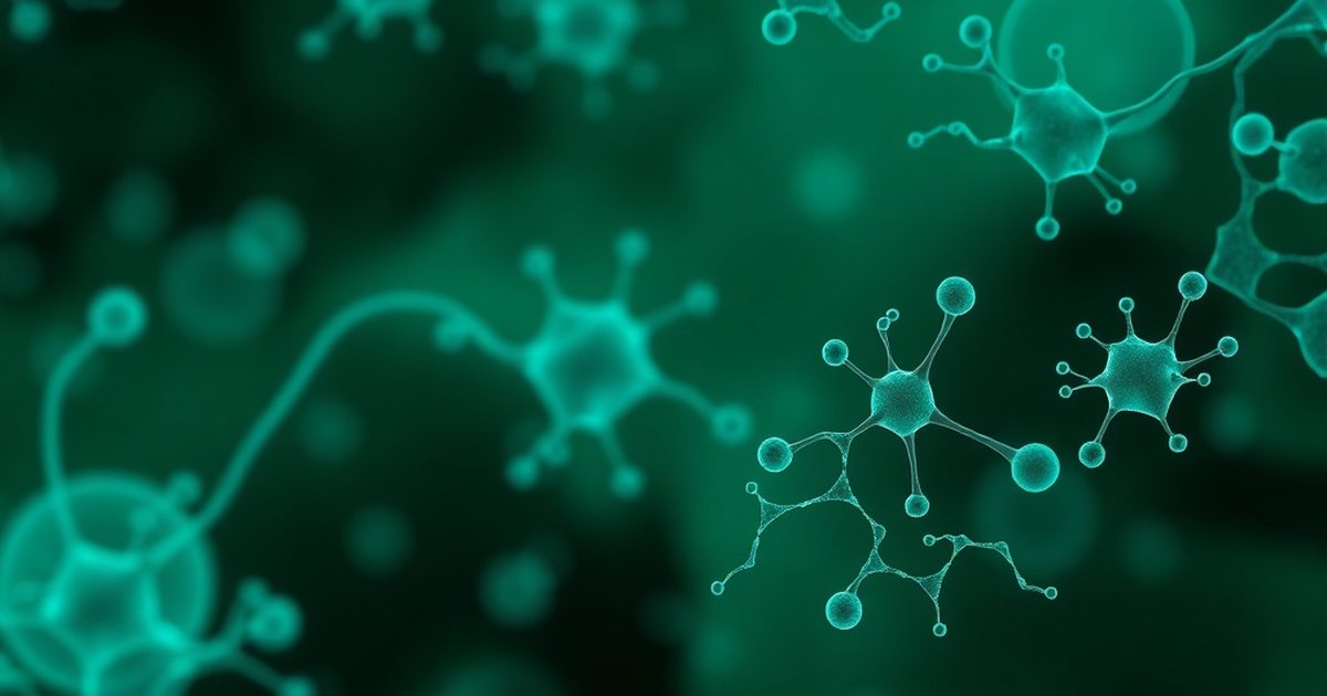 Inositol for PCOS: A Strong Evidence Base for Metabolic and Reproductive Health - InositolHub