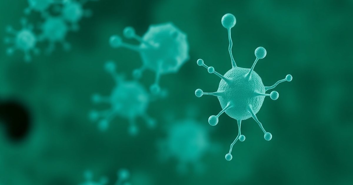 Choosing the Right Inositol Supplement - InositolHub