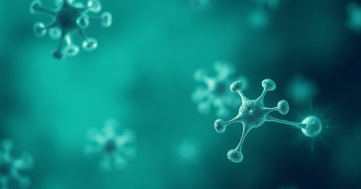 The Limited Research on Inositol and Bone Density in Perimenopause - InositolHub