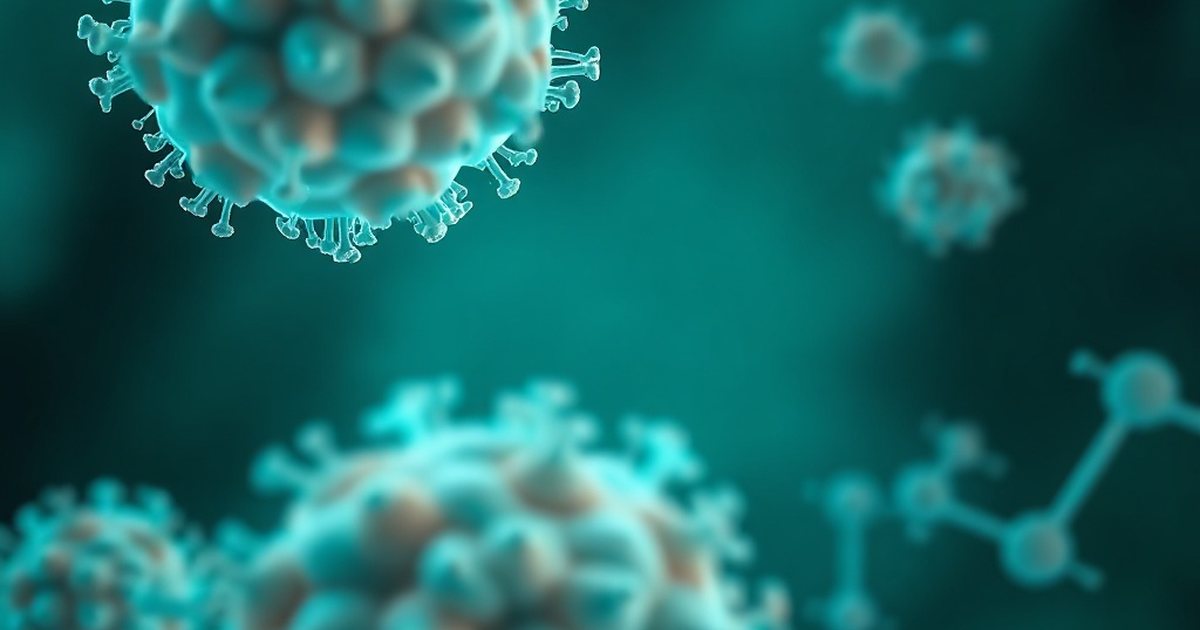 Distribution and Metabolism: Where Inositol Goes and How It Changes - InositolHub